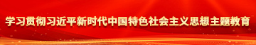 白人日逼学习贯彻习近平新时代中国特色社会主义思想主题教育